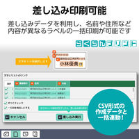 ラベルシール 表示・宛名ラベル プリンタ兼用 12面 A4  角丸 22シート エレコム EDT-ECNLR12AS22 1個（直送品）
