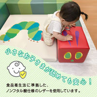 【軒先渡し】コイズミファニテック Hagu あおむしナンバースクッション 1辺300mm HG-HA731 1セット(2個入)（直送品）