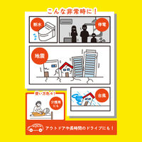 【非常用トイレ】カワタキコーポレーション 投込みタイプ トイレ凝固剤 675332 1袋（30個入）