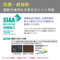 【組立設置込】プラス インテオ 会議テーブル 幅4000×奥行1200mm Pウォルナット×メッキ IN-4012SBH-N PW/P 1台（直送品）