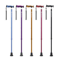 竹虎 バンブーステッキ ワインレッド 104942 1本