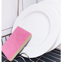 超吸水＆おそうじ2WAYレインボークリーンパッド レギュラーサイズ 1セット（1個×3） 羽田空港カリスマ清掃員　新津春子特別推奨