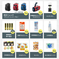 3日間を生き延びる防災セット 1人用 レッド 防災リュック 防災セット 防災グッズ 防災ラジオ 非常食 保存水（直送品）