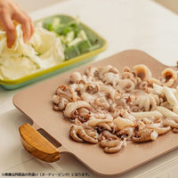 TTS ソリッド グリルパン チャコール CGP10200005 1個（直送品）