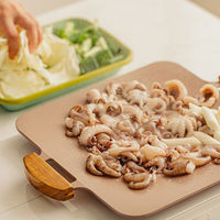 TTS ソリッド グリルパン ピンク CGP10200006 1個（直送品）