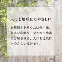 niwaQ 過炭酸ナトリウム 酸素系漂白剤 500g 1セット（1個×3） 丹羽久