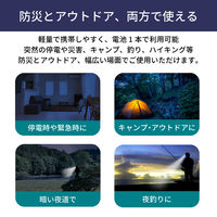 小型軽量LEDヘッドライト 2個 防災グッズ 停電 電池式 電池 LED IP44（直送品）