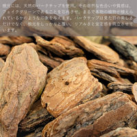 エスエスケイ 光触媒インテリアグリーン ラメリー 110cm 25091 1個（直送品）