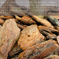 エスエスケイ 光触媒インテリアグリーン オーガスタ 80cm 25087 1個（直送品）