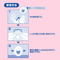 【アウトレット】【数量限定】ファブリーズ 消臭芳香剤 玄関用 さくらフローラル 詰替入り本体ケース 1個 P＆G