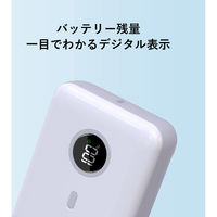 サイエルインターナショナル 急速充電対応大容量モバイルバッテリー MW-QMB10W 1台（直送品）