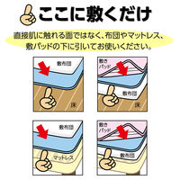 アストロ ドライ&ドライ吸湿防ダニマットシングル2枚組 614-43N 1セット(2枚)（直送品）