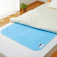 アストロ 除湿で防ダニ!吸湿マット シングル用 2枚組 614-59 1セット(2枚)（直送品）