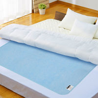 アストロ ドライ&ドライ吸湿防ダニマット ダブル 2枚組 614-97 1セット(2枚)（直送品）