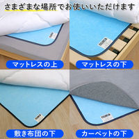 アストロ ドライ&ドライ 防ダニ抗菌防臭!吸湿マット ダブル 614-99 1枚（直送品）