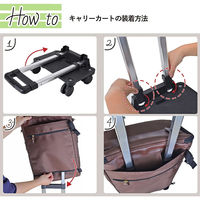 スワン SAXON cue 2way ショッピングキャリーバッグ 5233 ブラック 1個（直送品）