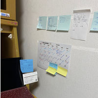 プランドゥーアイ　メモキャッチ両面粘着シート　MCS12C　1セット（1パック（5枚入）×10）