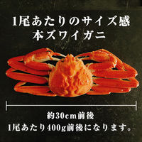 カネサン佐藤水産 北海道産オオズワイガニ カナダ産本ズワイガニ 食べ比べセット 2尾 計750g 116652881 1箱(2尾入)（直送品）