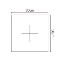 ピローシート（クロススリット入り）30×30cm（200枚入り） フィフティ・ヴィジョナリー