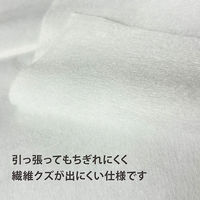 やわらかディスポタオル（ドライタイプ）30-35なめらか FV-EZ-50001 フィフティ・ヴィジョナリー