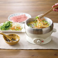 【アウトレット】アピックスインターナショナル 鍋 おひとりさまカット野菜鍋 アイボリー AEP-174 1台