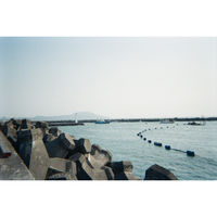 Vetrokam ヴェトロカム フィルムカメラ (レンズ付き/ストラップ付) SUC-NB400/27 1台