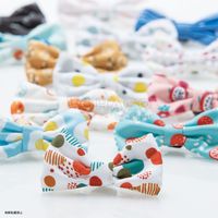 テラモト TUNAGO ENVY Cat Collar Set ビタミンホワイト OT-687-708-6 1個入（直送品）