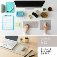 プラス 薄型 持ちハコビ マウス GY TW-MO001 1個（直送品）