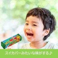 【アウトレット】ロッテ スイカバーガム 1セット（1個×10）