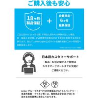 Anker Solix PS100  Portable Solar Panel A2435NA1 1個