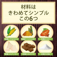 Feel&Green やさしいコーンフレークビターカカオ 140g 3袋 日本食品製造 シリアル