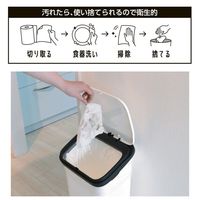 2way スクラブシートスポンジ ロール 60カット 食器洗い シンク洗い 1個 ストリックスデザイン