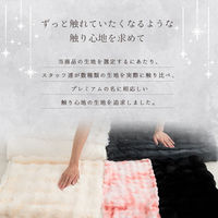 イケヒコ ラピアスプレミアム 掛布団 アイボリー 180×180cm 1182280141511 1個（直送品）