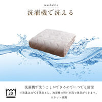 イケヒコ・コーポレーション ヴァルム 敷パッド ピンク 100×205cm 1195660220101 1個（直送品）