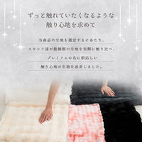 イケヒコ ラピアスプレミアム 毛布 アイボリー 180×200cm 1195990140310 1個（直送品）