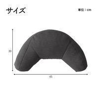 イケヒコ フィース その他 ブラック 45×30cm 1212080038601 1個（直送品）