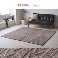 イケヒコ アルテラ ジャガードラグ 2400×2000mm ブラウン 1280900061303 1枚（直送品）