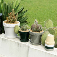 ダルトン 植木鉢 ボタニーポット 6号鉢 ガーデンポット グレー 460317 1個（直送品）