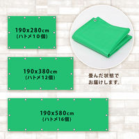 アストロ ハトメ付きグリーンシート 190×380cm 505-18 1枚（直送品）