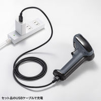 サンワサプライ 2次元ワイヤレスバーコードリーダー（2.4Gワイヤレス＋Bluetooth） BCRーBT2D13BK 1個