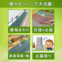 アストロ 防草シート グリーン 1*10m 80 624-05 1個（直送品）