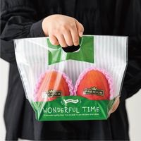 ヘッズ ワンダフルタイムＰＰスタンドＢＡＧーグリーン底板付（２０枚） WTG-OSB2 1セット(1袋(20枚入)×20)