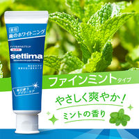 セッチマ はみがき デイリータイプ 80g スタンディングタイプ サンスター settima 歯磨き粉 美白 ホワイトニング 歯周病