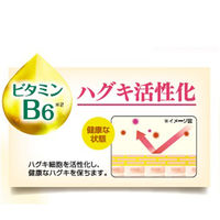 ガム 歯周プロケアペースト 90g 1セット（3本）サンスター GUM 歯磨き粉 原因菌を殺菌 歯周病 高濃度フッ素 1450ppm 虫歯