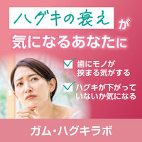 GUM（ガム）ハグキラボ デンタルペースト メディカルハーブミント 歯磨き粉 85g 1セット（3本） サンスター