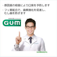 GUM（ガム）歯磨き粉 デンタルペースト 爽快タイプ 虫歯・歯周病予防 口臭防止 120g 1セット（3本） サンスター