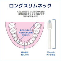 ドゥークリア ハブラシ ふつう コンパクトヘッド サンスター Doクリア 歯ブラシ はぶらし