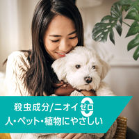 マックスステム ライトトラップ 付け替え用プレート 1セット（1箱（3個入）×3） ジョンソン