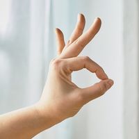 シロカ siroca 大風量タワーファン SFーT251(C) ベージュ 1個