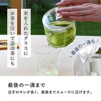 HARIO（ハリオ）フィルターイン 急須 ティーポット 450ml トライタン製 FIKー45ーT 1個